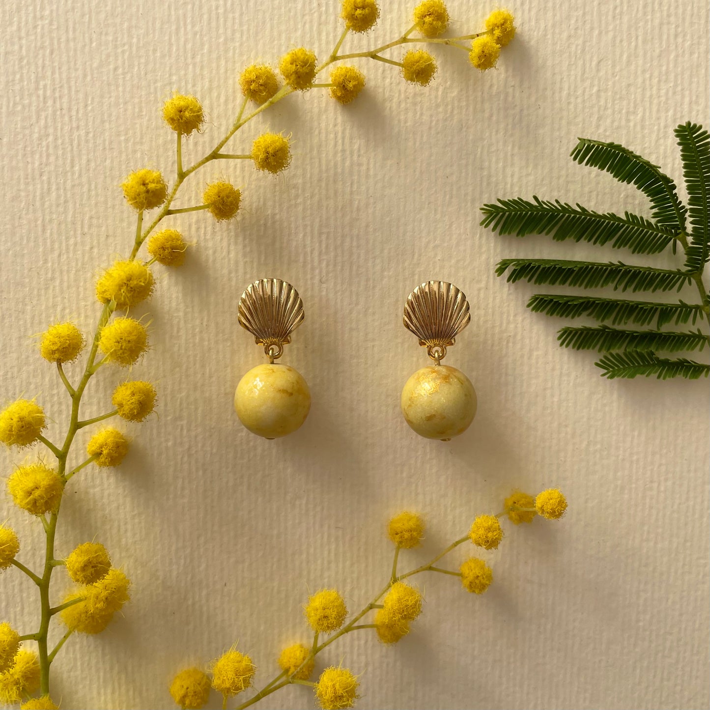 Mimosa