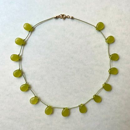 Roma Olive