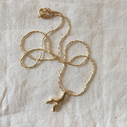 Petit Corail